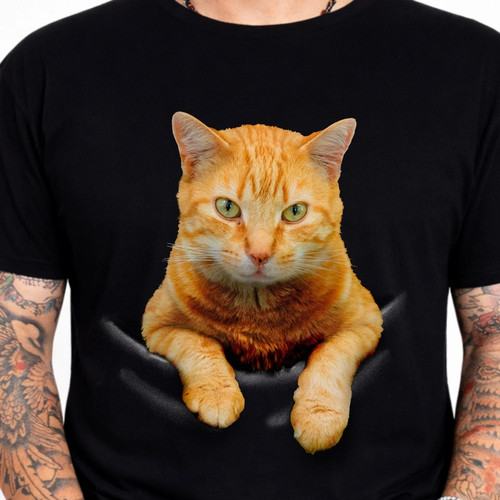 Orange tabby cat peeking out - orange,